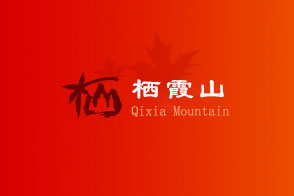 栖霞区栖霞街81-2-8号房屋公开招租结果公示