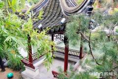 历史的南京,很有底蕴~ 深秋的南京,很美~