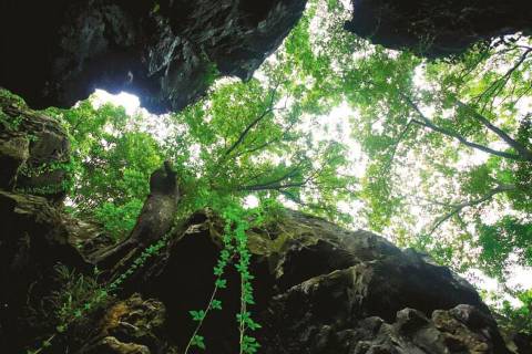  鬼斧神工天开岩 、一线天